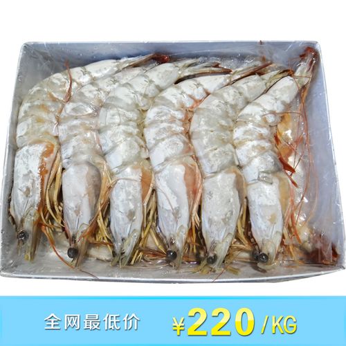白虾批发 12个一盒超值装 高品质大虾 海鲜水产品 肉质鲜美虾 - 养殖